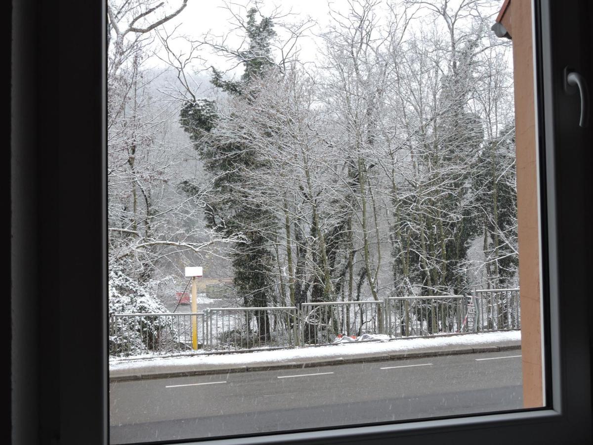 Ferienwohnungen Haus Scheidter 40 Saarbrucken Bagian luar foto